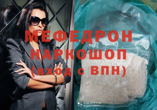 индика Алексин