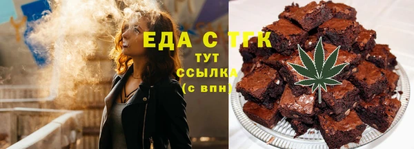 индика Алексин