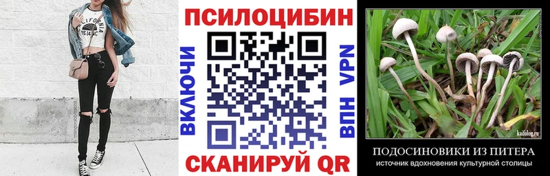 Псилоцибиновые грибы Psilocybe  hydra ССЫЛКА  darknet наркотические препараты  Добрянка 